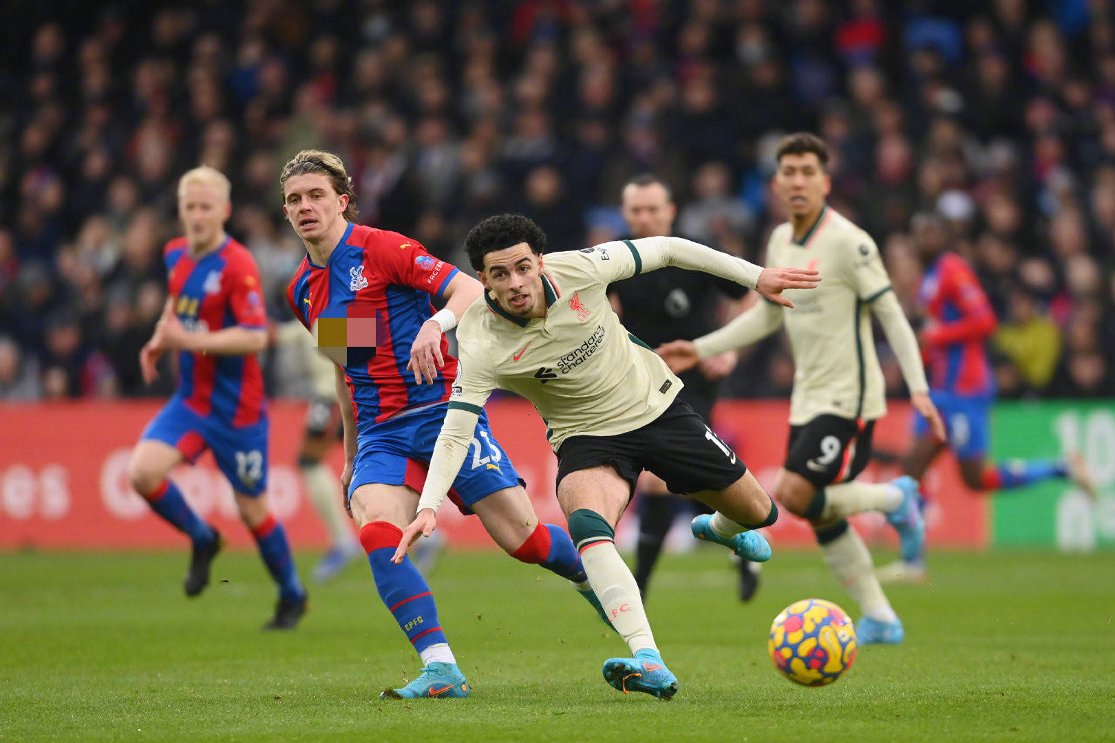 放在棋盘上 放在棋盘上